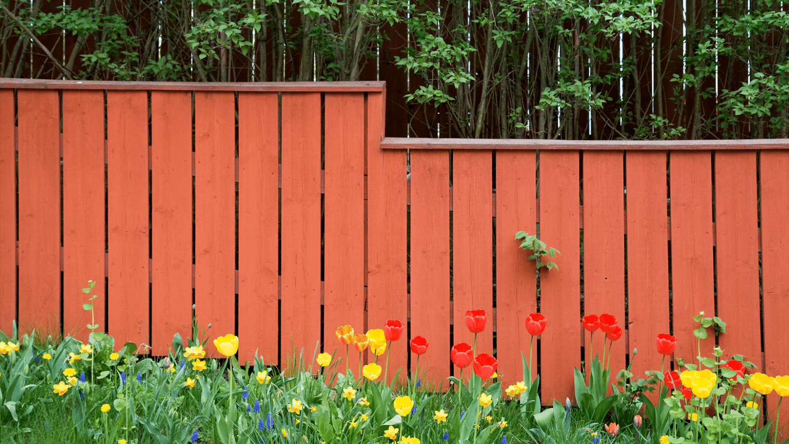 Tips For Choosing The Best Backyard Fence Lighting